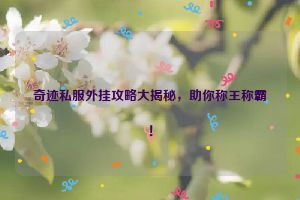 奇迹私服外挂攻略大揭秘，助你称王称霸！