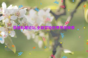 奇迹私服论坛,全新冒险世界等你探索