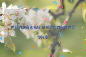 新开网通奇迹私服,全新奇幻冒险世界等你探索