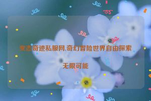 变态奇迹私服网,奇幻冒险世界自由探索无限可能