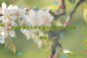 奇迹私服连击脚本,连击狂潮无限战斗新体验