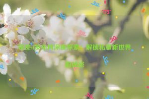 奇迹sf发布网深度探索：解锁私服新世界的秘密