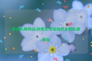 奇迹私服网站,探索无尽冒险的全新私服体验