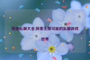 奇迹私服大全,探索无限可能的私服游戏世界