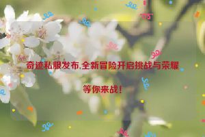 奇迹私服发布,全新冒险开启挑战与荣耀等你来战！