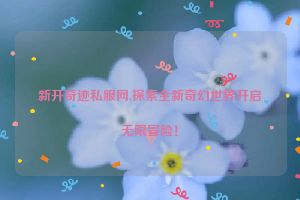 新开奇迹私服网,探索全新奇幻世界开启无限冒险！