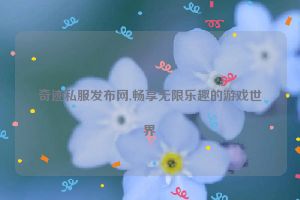 奇迹私服发布网,畅享无限乐趣的游戏世界