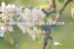 最新奇迹私服发布网,探索全新奇幻世界的冒险传奇