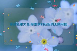 奇迹私服大全,探索梦幻私服的无限可能