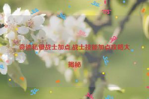 奇迹私服战士加点,战士技能加点攻略大揭秘