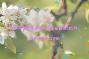 新开奇迹私服发布网,探索全新奇幻世界成就你的传奇之旅