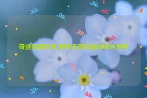 奇迹私服发布,探索无限可能的奇幻世界