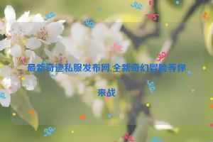 最新奇迹私服发布网,全新奇幻冒险等你来战