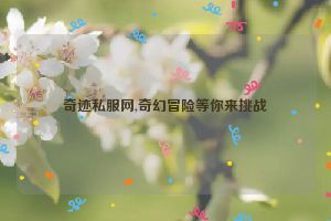 奇迹私服网,奇幻冒险等你来挑战