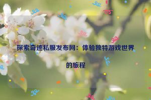 探索奇迹私服发布网：体验独特游戏世界的旅程