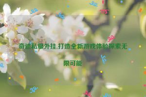 奇迹私服外挂,打造全新游戏体验探索无限可能