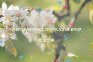 奇迹私服连击脚本,连击技巧大揭秘挑战极限副本