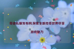 奇迹私服发布网,探索全新传奇世界尽享游戏魅力