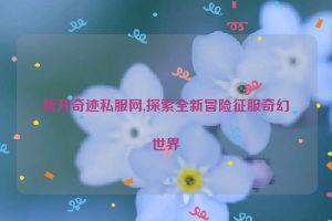 新开奇迹私服网,探索全新冒险征服奇幻世界