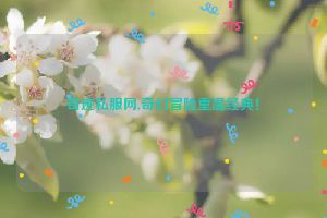 奇迹私服网,奇幻冒险重温经典！