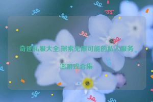 奇迹私服大全,探索无限可能的私人服务器游戏合集