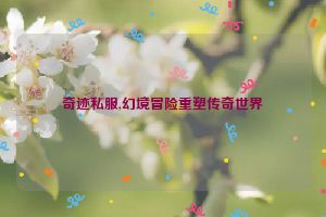 奇迹私服,幻境冒险重塑传奇世界