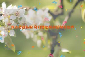 变态奇迹私服,奇幻冒险畅游超现实世界