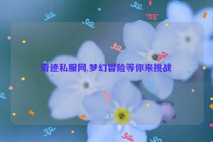 奇迹私服网,梦幻冒险等你来挑战