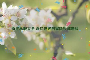 奇迹私服大全,奇幻世界的冒险等你来战