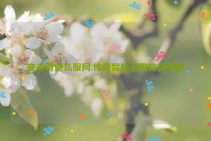 变态奇迹私服网,传奇冒险无限挑战体验