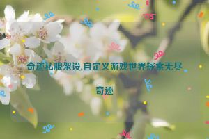 奇迹私服架设,自定义游戏世界探索无尽奇迹