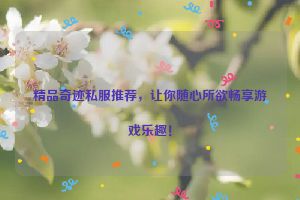 精品奇迹私服推荐，让你随心所欲畅享游戏乐趣！