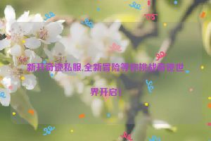 新开奇迹私服,全新冒险等你挑战奇迹世界开启！