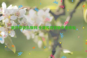 新开奇迹私服网,全新传奇冒险等你体验