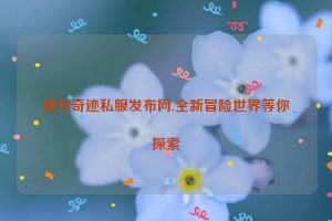 新开奇迹私服发布网,全新冒险世界等你探索