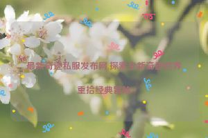 最新奇迹私服发布网,探索全新奇迹世界重拾经典冒险