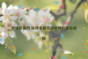 奇迹私服网,探寻全新奇迹世界的冒险旅程