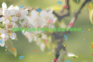 最新奇迹私服发布网,全新冒险等你来战