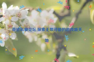 奇迹私服论坛,探索无限可能的游戏新天地