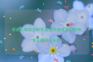 奇迹私服连击脚本,连击技能全面升级畅享无限战斗乐趣