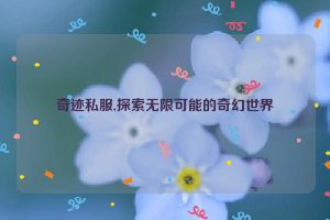 奇迹私服,探索无限可能的奇幻世界