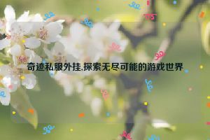 奇迹私服外挂,探索无尽可能的游戏世界