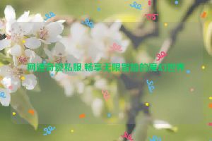 网通奇迹私服,畅享无限冒险的魔幻世界