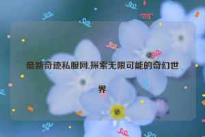 最新奇迹私服网,探索无限可能的奇幻世界