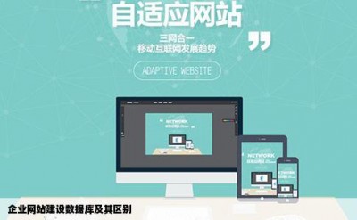 企业网站建设数据库及其区别