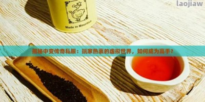 揭秘中变传奇私服：玩家热衷的虚拟世界，如何成为高手？