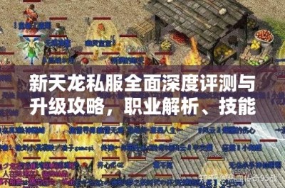 新天龙私服全面深度评测与升级攻略，职业解析、技能选择、地图探秘及副本挑战指南