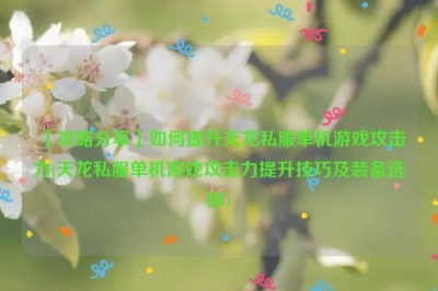 【攻略分享】如何提升天龙私服单机游戏攻击力(天龙私服单机游戏攻击力提升技巧及装备选择)