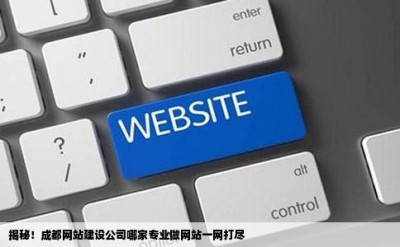 揭秘！成都网站建设公司哪家专业做网站一网打尽