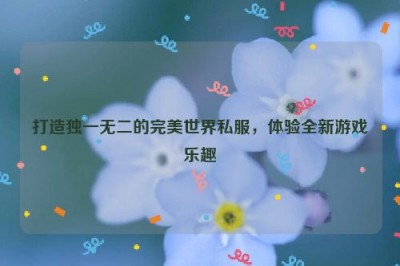 打造独一无二的完美世界私服，体验全新游戏乐趣